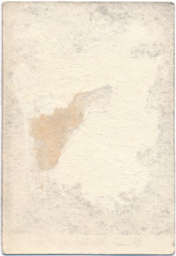Bertil b5